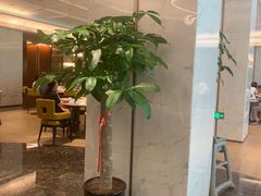 -喜来登由由大酒店九州膳坊中餐厅