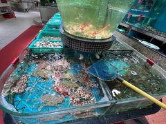 -海大大蒸汽海鲜餐厅·粤菜·特色小炒(欢乐颂店)