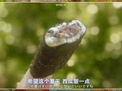 -独一道·邵伯龙虾·烧烤(雨花西路店)