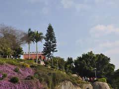 DSC_0253_副本-鼓浪屿钢琴博物馆