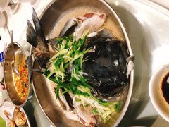 -农汤老店(顺联公园里店)