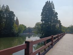 -上海滨江森林公园