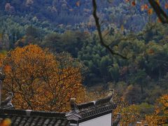 -塔川景区