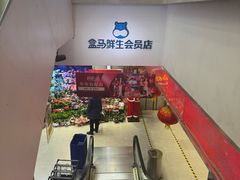 -盒马鲜生(大成店)
