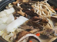 -蘑统田下·野生菌火锅