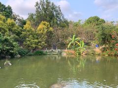 -中山市树木园