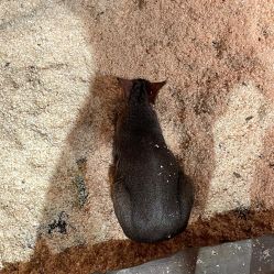 -Zoolung Zoolung动物主题公园(海信广场店)