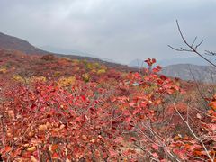 -周口店坡峰岭风景区