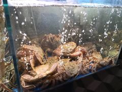 -蟹之国·精品蟹料理(极地店)