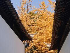 -西园戒幢律寺