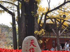 -红螺寺