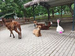 -西安秦岭野生动物园