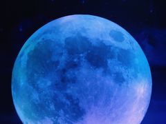 -重庆梵高星空艺术馆(解放碑旗舰店)