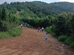 -长虫山生态公园风景林