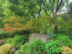 -杭州半山国家森林公园