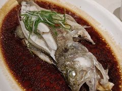 清蒸鲈鱼-郑州烤鸭总店