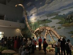 景点-自贡恐龙博物馆