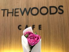 -THE WOODS 简餐 (国贸商城店)