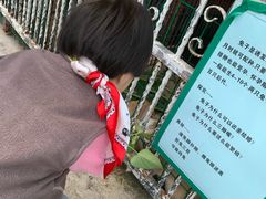 -上海佘山世茂艾美酒店