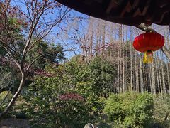 -上海醉白池公园