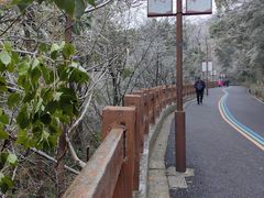 -杭州半山国家森林公园