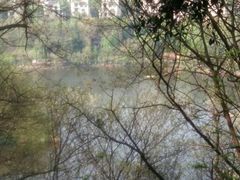 -重庆彩云湖湿地公园