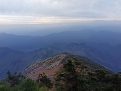 -朱雀国家森林公园