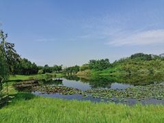 -眉山湿地公园(东坡区)