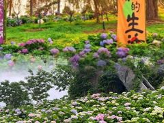 -天适樱花悠乐园