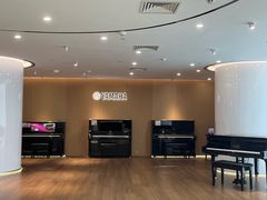-雅马哈乐器专卖店(广州旗舰店)