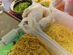 -邓氏大薄片