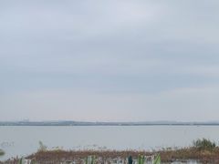 -七的湖·晚芳亭·阳澄湖农家菜·大闸蟹(莲花岛店)