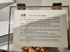 -宁波市保国寺古建筑博物馆