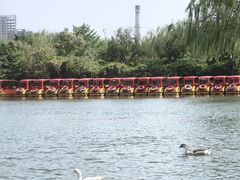 -南翠屏公园