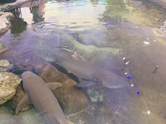 -鸿通城购物中心