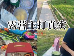 -泰丰公园