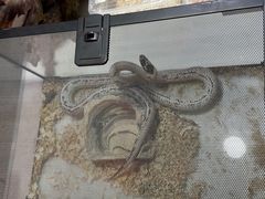 -华声天桥民俗文化园