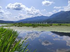 -腾冲北海湿地