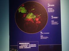 -广东科学中心