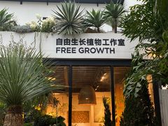 -自由生长植物工作室(深港花卉中心店)