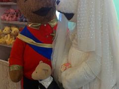 android_upload_pic-济州岛泰迪熊博物馆