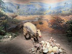 -自贡恐龙博物馆