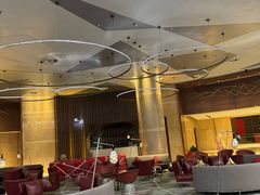 -南京禄口机场雅高铂尔曼大酒店