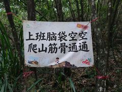 -广州白江湖森林公园