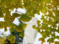 -四川大学(望江校区)