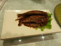 小黄鱼-红城阁·上海味道(四平路店)