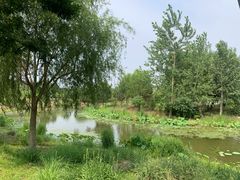 -东郊湿地公园