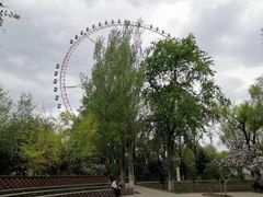 -哈尔滨文化公园