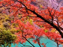 -叠溪松坪沟景区