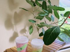 -白茶原·一片叶子